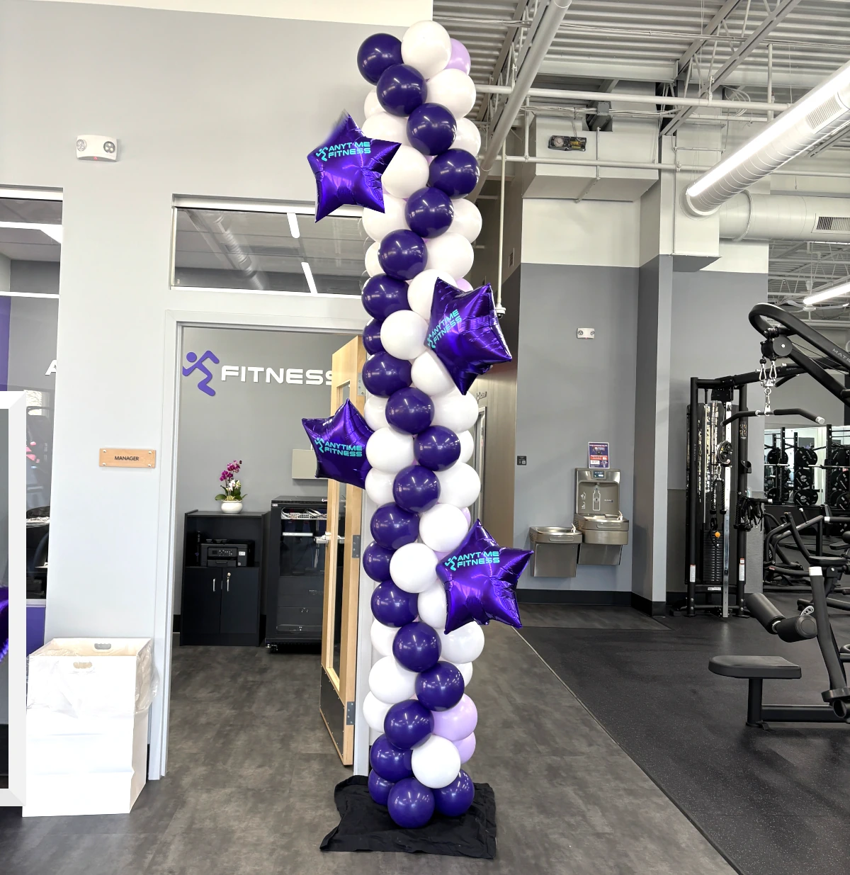 Grand opening signs with logo for Devon PA businesses